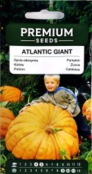 Pumpkin Atlantic Giant Seed